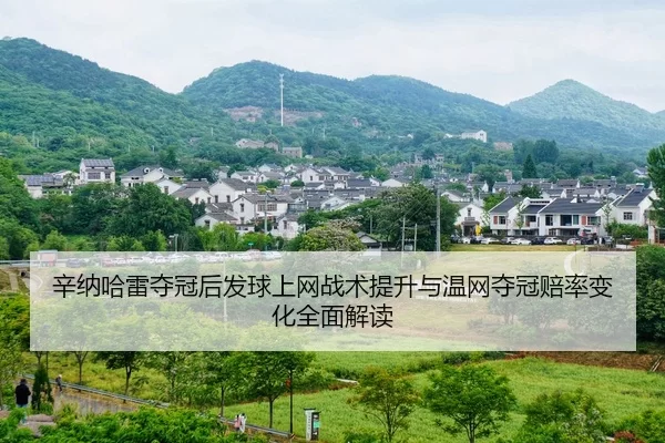 辛纳哈雷夺冠后发球上网战术提升与温网夺冠赔率变化全面解读