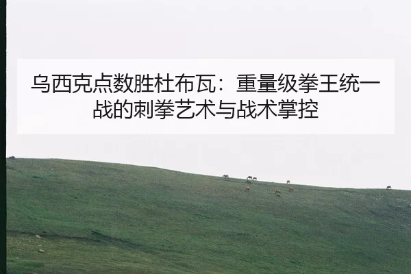 乌西克点数胜杜布瓦：重量级拳王统一战的刺拳艺术与战术掌控