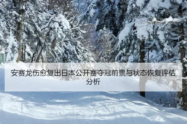 an-sai-long-shang-yu-fu-chu-ri-ben-gong-kai-sai-duo-guan-qian-jing-yu-zhuang-tai-hui-fu-ping-gu-fen-xi-2-834.jpg