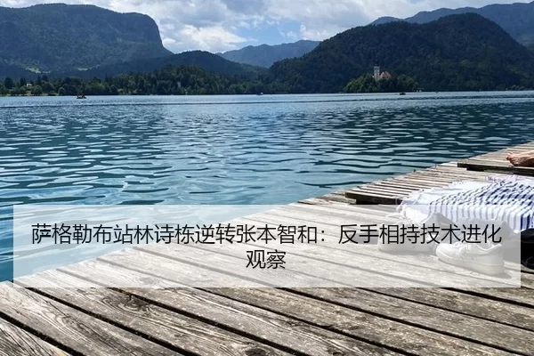 萨格勒布站林诗栋逆转张本智和：反手相持技术进化观察
